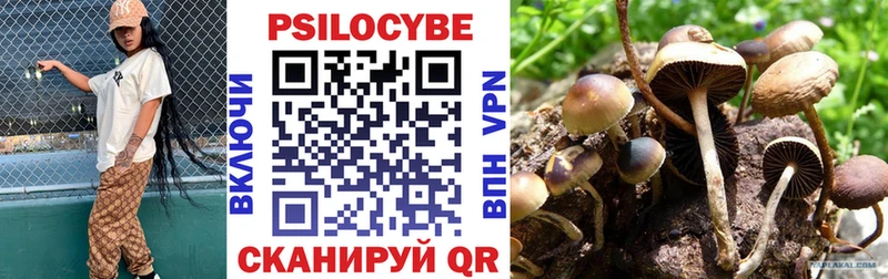 Псилоцибиновые грибы Cubensis  Купить где  Спасск 