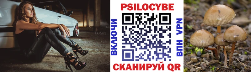 Псилоцибиновые грибы GOLDEN TEACHER Спасск